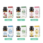 TOP 1 10ml 블렌딩 에센셜 오일 NO.: EO01