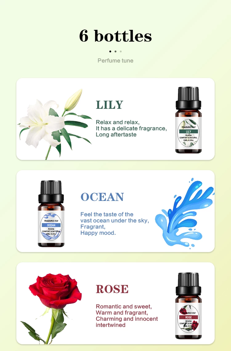 TOP 1 10ml 블렌딩 에센셜 오일 NO.: EO01