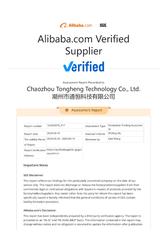 SGS Factory Audit Report